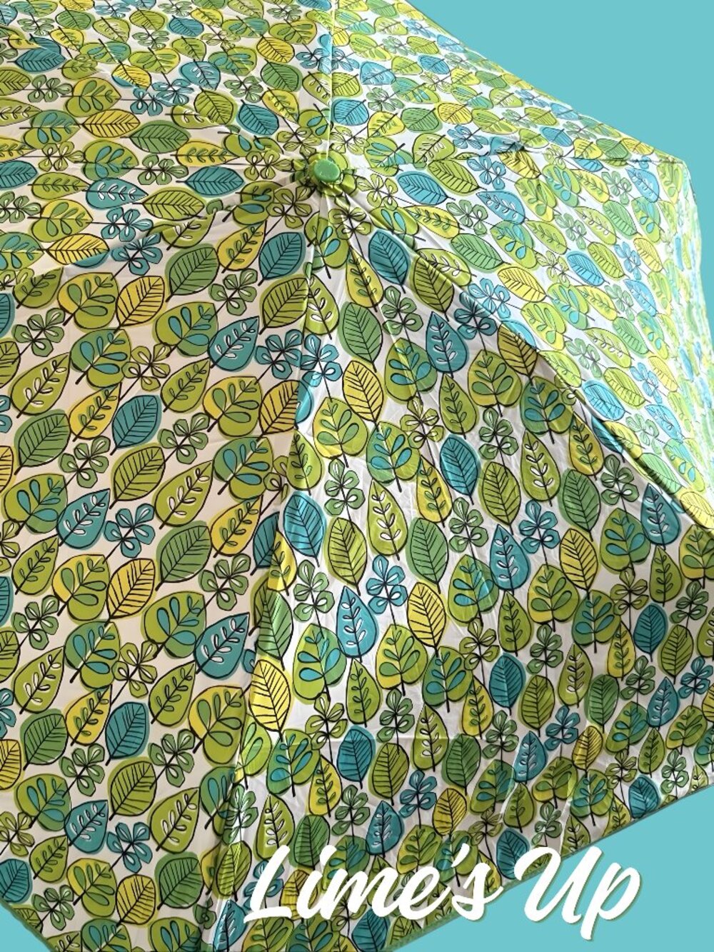 Vera Bradley Lime's Up Auto Open Umbrella Retired Floral Folding Umbrella